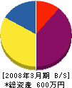 琉高商会 貸借対照表 2008年3月期