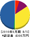 池田電建 貸借対照表 2010年6月期