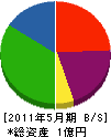 竹内組 貸借対照表 2011年5月期