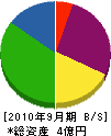 窪田エンジニアズ 貸借対照表 2010年9月期
