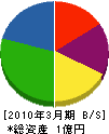 菅信建設 貸借対照表 2010年3月期
