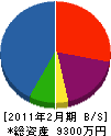 山崎建設 貸借対照表 2011年2月期
