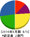 丸島ハウジングサービス 貸借対照表 2010年6月期