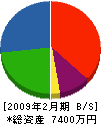 堂山産業 貸借対照表 2009年2月期