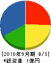 松嶋建設工業 貸借対照表 2010年9月期