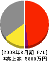 浅丘工業 損益計算書 2009年6月期