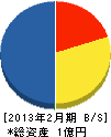 渋谷造園土木 貸借対照表 2013年2月期