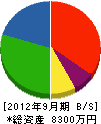 松村電気 貸借対照表 2012年9月期
