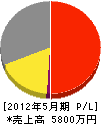 川田硝子 損益計算書 2012年5月期