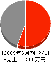 長崎緑化推進事業（同） 損益計算書 2009年6月期