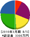 長谷川商店 貸借対照表 2010年3月期