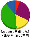 大塚石材店 貸借対照表 2008年9月期