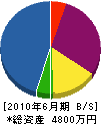 斉藤電気 貸借対照表 2010年6月期 斉藤電気 貸借対照表 2010年6月期