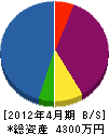 國井建設興業 貸借対照表 2012年4月期