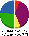 日本エンジニアリング建設 貸借対照表 2009年9月期