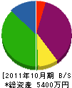 丸木電工 貸借対照表 2011年10月期