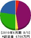 江島工作所 貸借対照表 2010年6月期