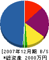 大孝建設 貸借対照表 2007年12月期