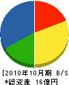 斉藤組 貸借対照表 2010年10月期