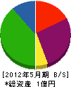 宮崎ガスサービスショップ 貸借対照表 2012年5月期