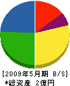 小笠原建設興業 貸借対照表 2009年5月期