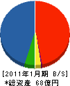 シマ 貸借対照表 2011年1月期