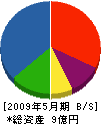 海洋技術建設 貸借対照表 2009年5月期