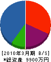 清水木材 貸借対照表 2010年3月期 清水木材 貸借対照表 2010年3月期