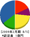 日本セメント防水剤製造所 貸借対照表 2009年2月期