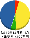 長谷川建設 貸借対照表 2010年12月期