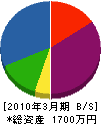 飛田川緑地 貸借対照表 2010年3月期
