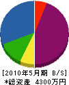 矢島企業 貸借対照表 2010年5月期