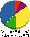 松岡電気店 貸借対照表 2010年7月期