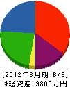 生駒電気 貸借対照表 2012年6月期
