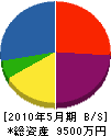 神田組 貸借対照表 2010年5月期