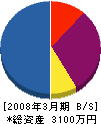 緑創 貸借対照表 2008年3月期
