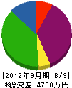宮崎総合スポーツ 貸借対照表 2012年9月期