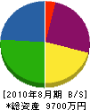 堀内建設 貸借対照表 2010年8月期