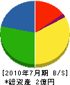 日高電設 貸借対照表 2010年7月期 日高電設 貸借対照表 2010年7月期