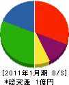 大江工務店 貸借対照表 2011年1月期