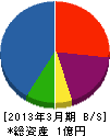 坂本舗道 貸借対照表 2013年3月期