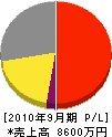 岩沼産業 損益計算書 2010年9月期