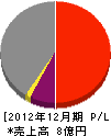 松野組 損益計算書 2012年12月期