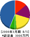 国塚塗装工業 貸借対照表 2008年3月期