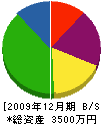大崎測建 貸借対照表 2009年12月期