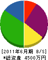 西江建設 貸借対照表 2011年6月期