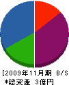 富山工業 貸借対照表 2009年11月期