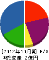 桂信システム 貸借対照表 2012年10月期