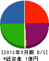 中沢実業 貸借対照表 2012年9月期