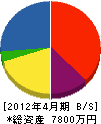 篠田建設 貸借対照表 2012年4月期
